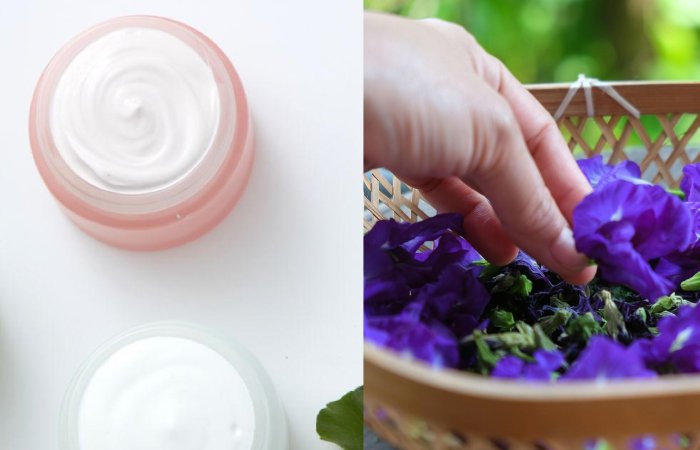 butterfly pea centella asiatica thai skincare ingredients