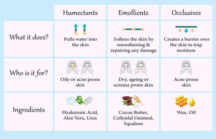 humectant emollient occlusive moisturizer types diagram