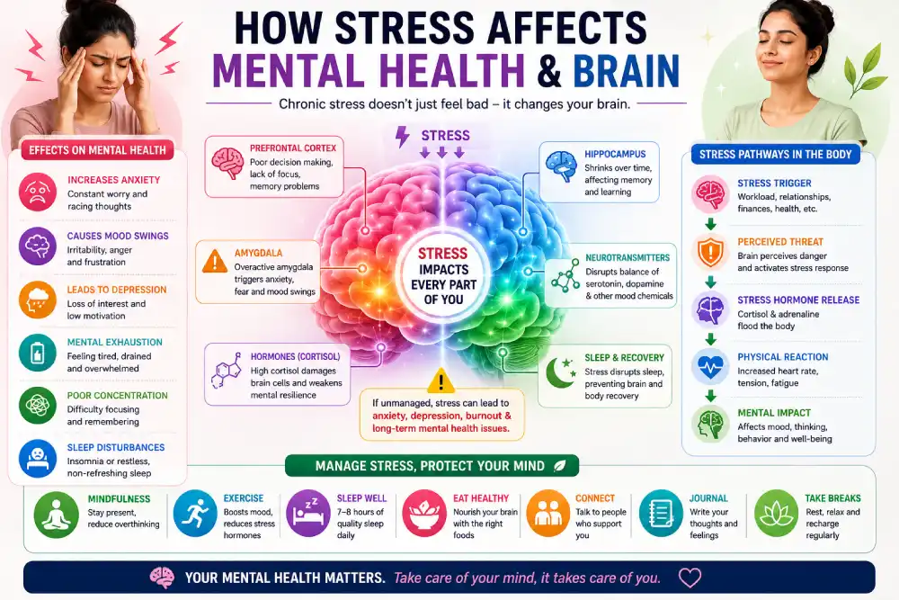 Diagram showing how chronic stress affects mental health and brain function