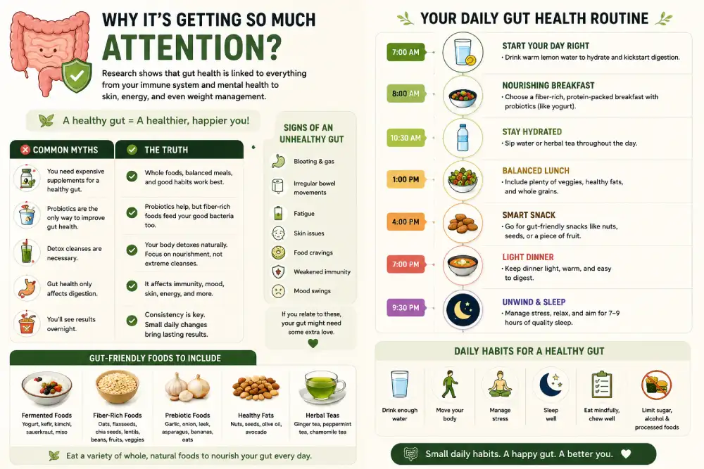 Gut-brain axis connection diagram for gut health