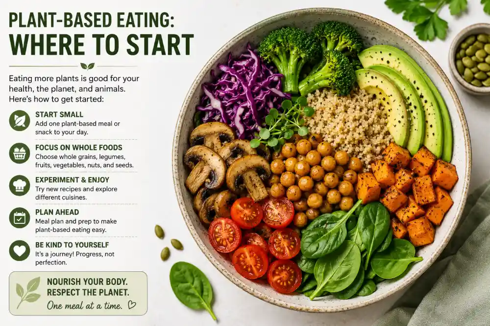 Plant-based meal bowl with lentils, chickpeas, and seasonal vegetables